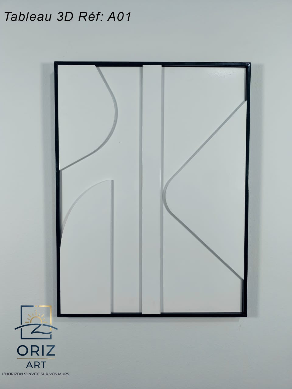 Tableau 3d Réf A01 Dimension 63x47cm