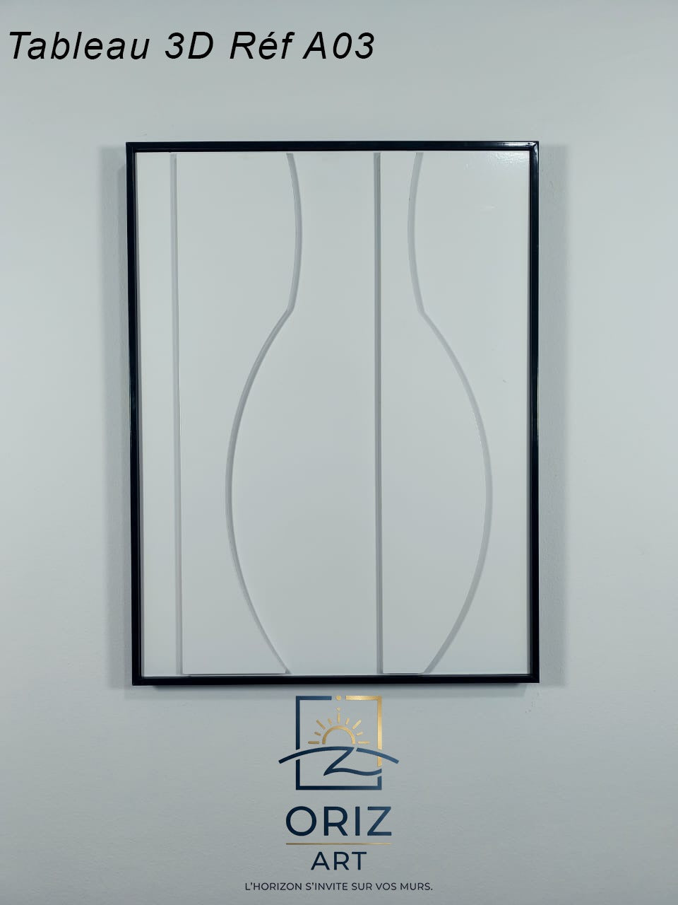Tableau 3d Réf A03 Dimension 63x47cm