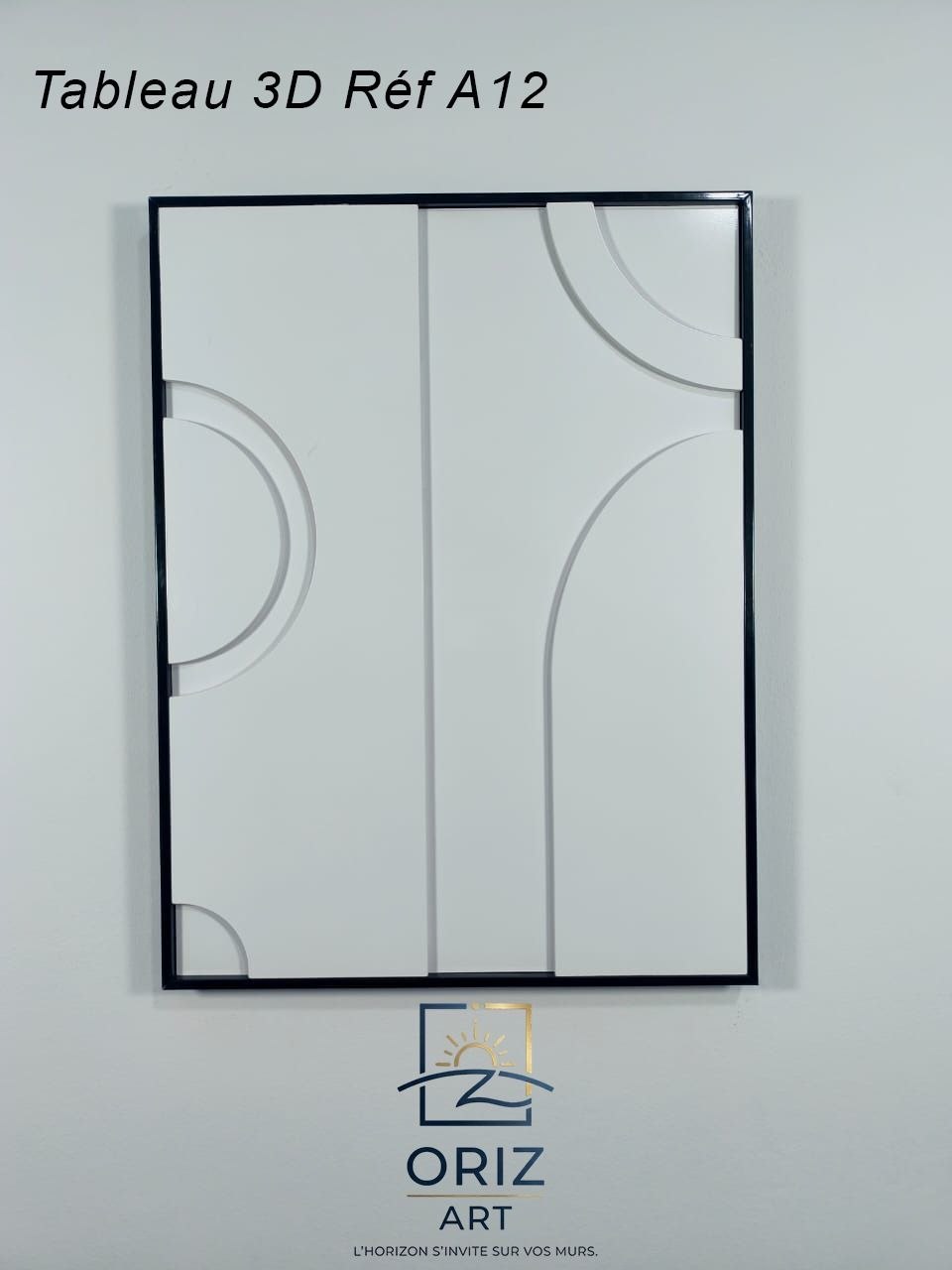 Tableau 3d Réf A12 Dimension 63x47cm