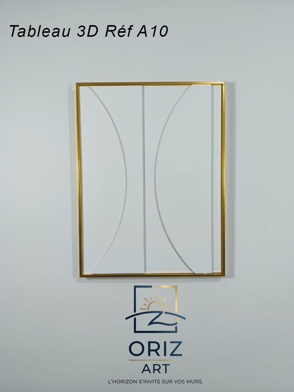 Tableau 3d Réf A11 Dimension 63x47cm