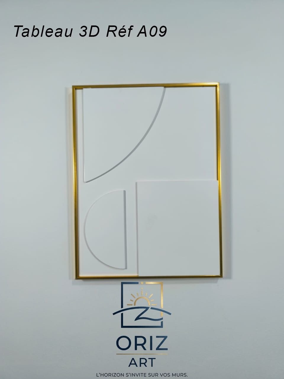 Tableau 3d Réf A09 Dimension 63x47cm